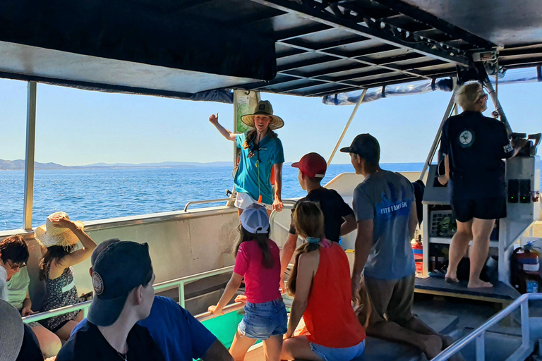 Isola delle capre: Tour in barca con fondo di vetro