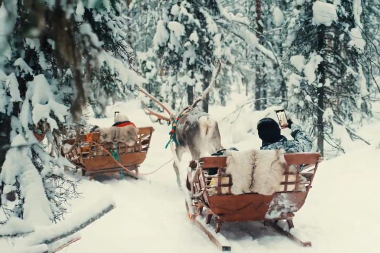 Combo Tour\Husky and Reindeer Sledding Ride in Levi