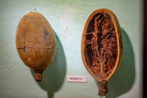 Livingstone: Cultural & Heritage Tour with Lunch