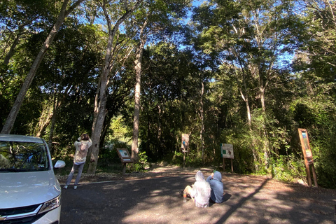 Bacalar: Calakmul Ruins Day Trip with a Stop In The Jungle