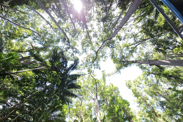 Excursión de 3 días de Hervey Bay a K&#039;gari/Isla Fraser (Casa en la playa)