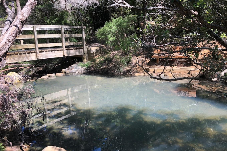 Gran Barrera: Remojo y Paseo Privado por las Aguas Termales de Kaitoke