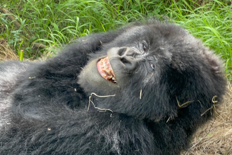 4 Daagse Rwanda Wildlife Safari & Gorilla Trektocht