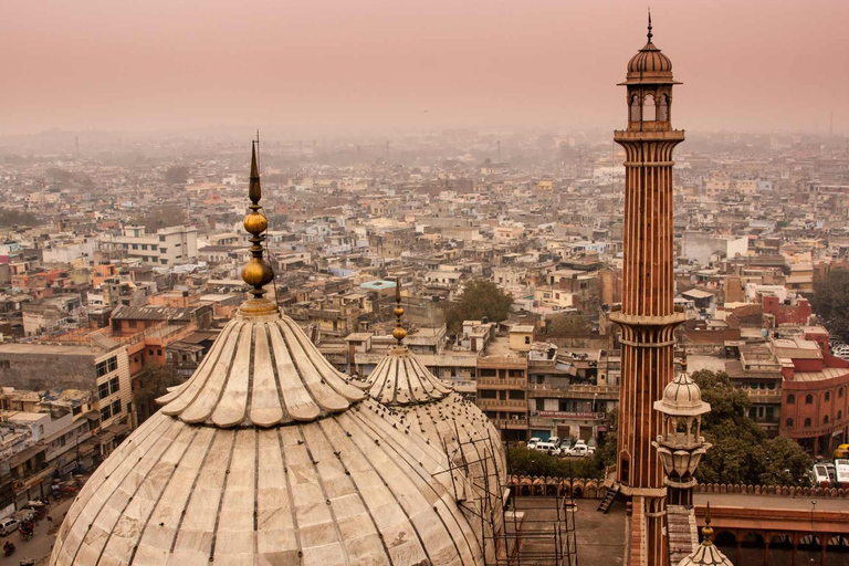 Monuments of Delhi (Guided Full Day Sightseeing City Tour)