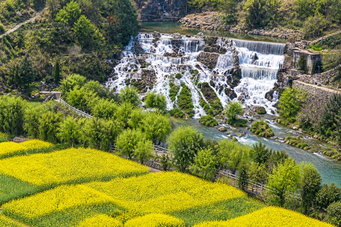 Guizhou: Dragon Palace Tickets & Underground Boat Ride Dragon Palace Cave , Boat Experience & Elevator