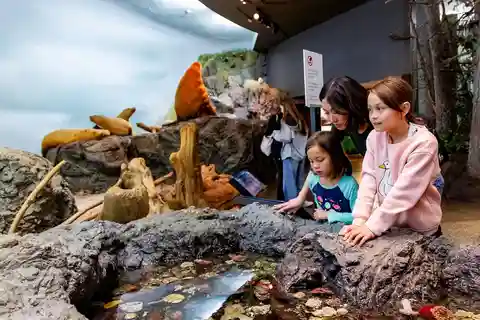Royal B.C. Museum in Victoria: Full-Day Admission Ticket