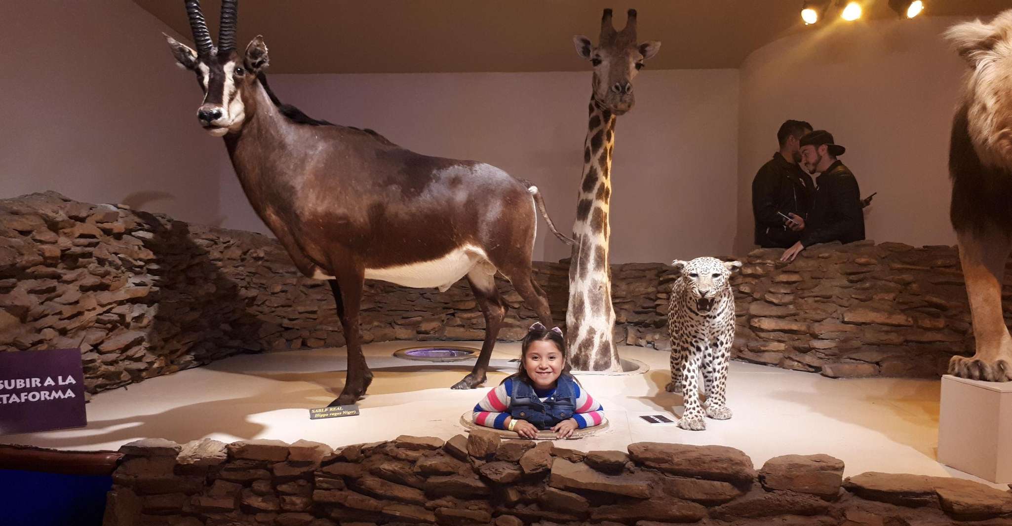Monterrey, Desert Museum Tour - Hizvo