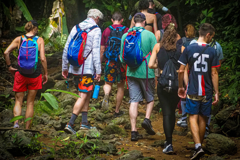 Uvita: Corcovado Rainforest & Wildlife Adventure