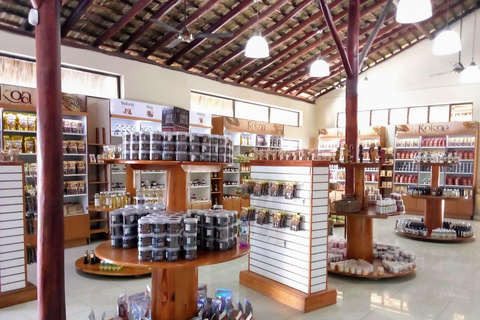 Punta Cana: Shopping Tour In Don Lucas Cigar Factory