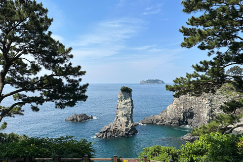 Jeju Sud: Tour di un giorno con guarigione dell&#039;UNESCO per piccoli gruppi