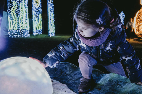 Budapest: biglietto d'ingresso per il Lumina Light Park Wonderworld