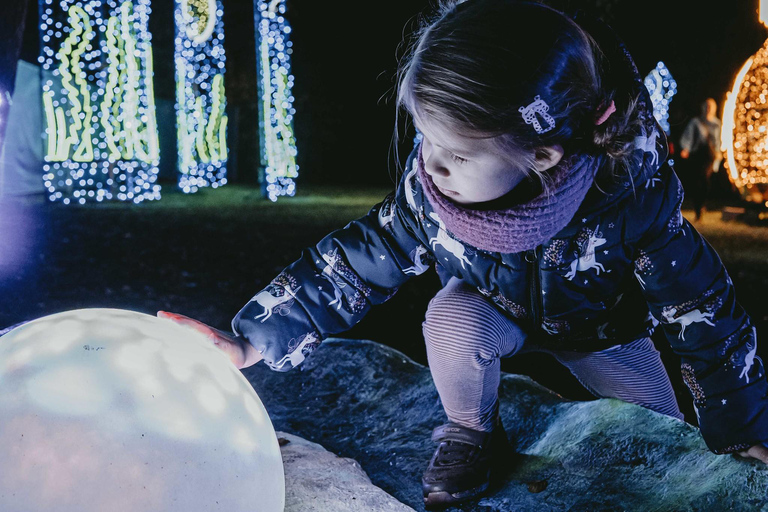 Budapest: biglietto d'ingresso per il Lumina Light Park Wonderworld