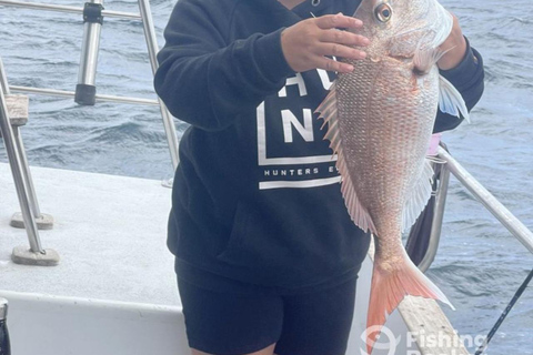 Kotor: Fishing Experience with 100% guaranteed catch