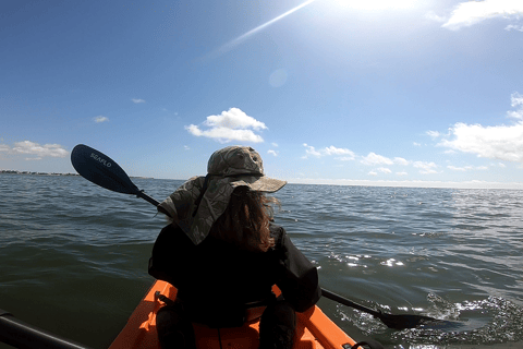 Swakopmund: Sunset Kayaking Tour with Hotel Pickup