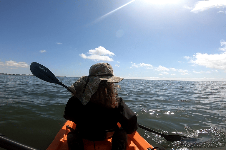 Swakopmund: Sunset Kayaking Tour with Hotel Pickup