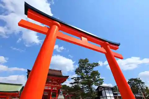 Kyoto : le meilleur en une journée. Visite privée avec guide agréé.