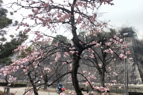 Osaka: Seven Millennia of History in 150 Minutes