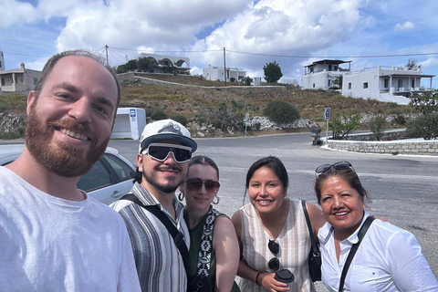 Desde la ciudad de Mykonos: tour turístico guiado con molinos de viento