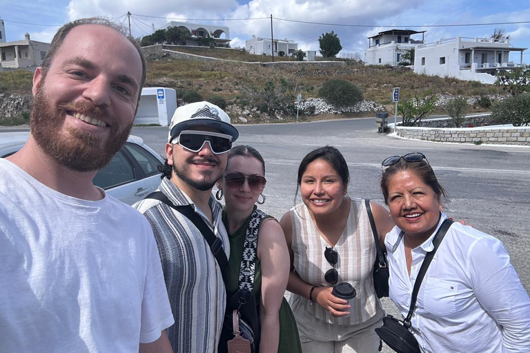 Desde la ciudad de Mykonos: tour turístico guiado con molinos de viento