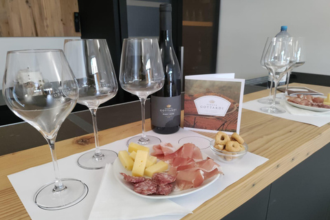 vineyard experience experience in the vineyard