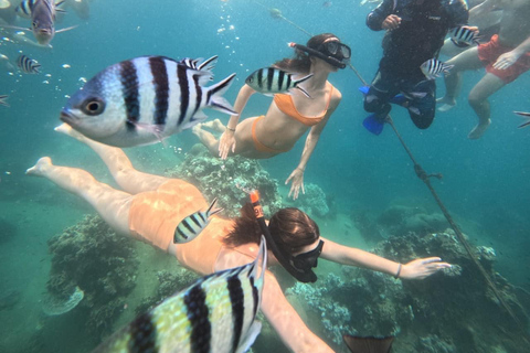 Koh Tao: Snorkeling Tour, Small-Group with Lunch & Transfer