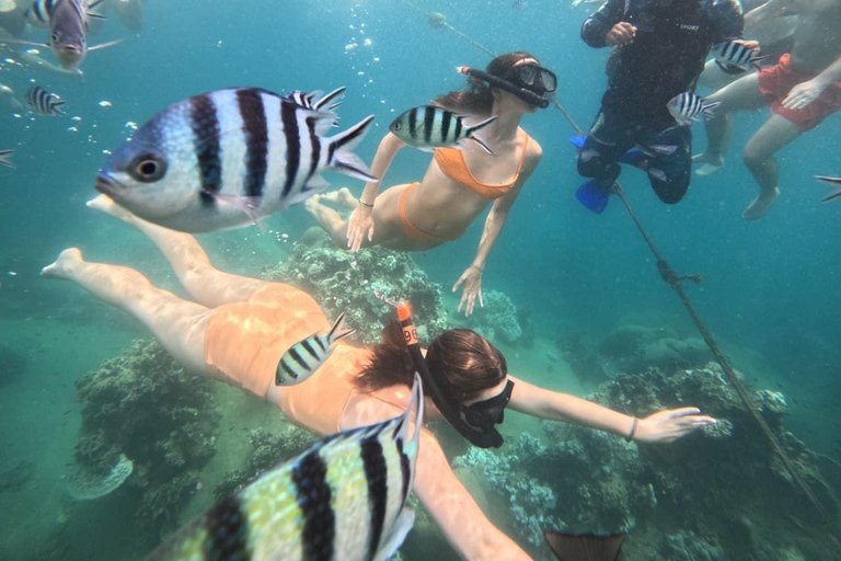Koh Tao: Snorkeling Tour, Small-Group with Lunch & Transfer