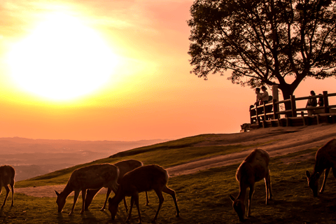 From Nara:Half-Day Bus Tour to UNESCO Heritage&Mt. Wakakusa 12:30 JR Nara Station East Exit