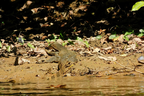 Khao Sok Jungle Day Trip - Jungle Trekking & Bamboo Rafting