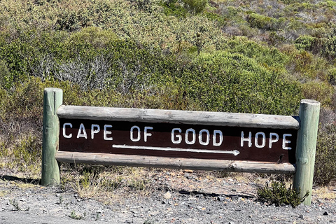 Cape of Good Hope, Chapman's Peak Drive, Penguins , Seals