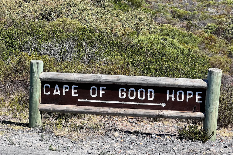 Cape of Good Hope, Chapman's Peak Drive, Penguins , Seals