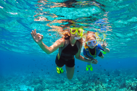 Isla Saona: Punta Cana All-inclusive