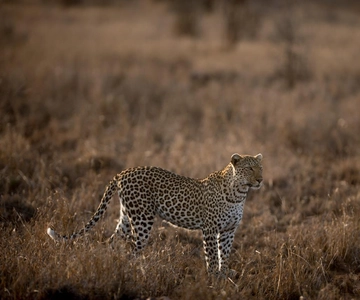 Kenya: 9-Day Soft Trekking Safari