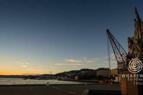 Wellington: Verborgen Māori schatten Tour