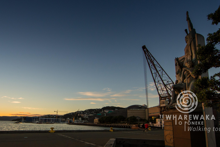 Wellington: Verborgen Māori schatten Tour