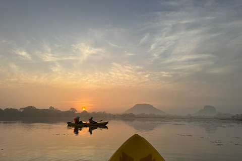 Sigiriya: Birdwatching Kayak Tour with Guide