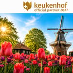 Amsterdam: ingresso al Keukenhof e bus navetta con ritorno flessibile