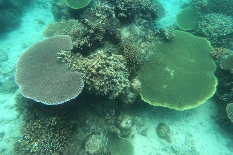 Coron: Lago Kayangan, Lagoa Gémea e excursão aos Siete Pecados