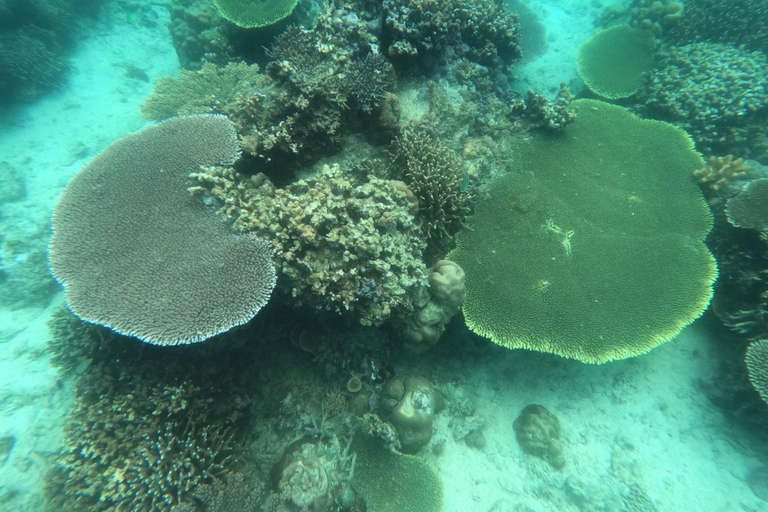 Coron: Lago Kayangan, Laguna Gemella e Tour dei Siete Pecados