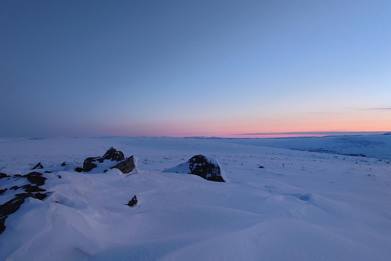 Visite d&#039;une jounée du cercle arctique