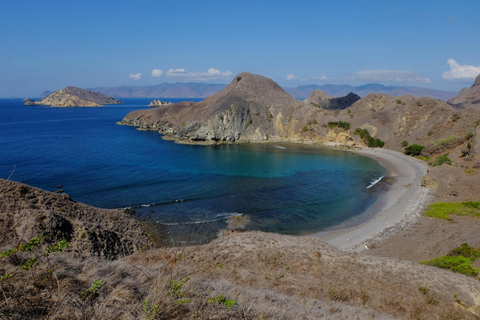 Labuan Bajo: Komodo Dragon Island Full-Day Guide Tour