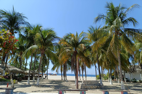 Excursion to Puerto Escondido from Oaxaca: Beaches and the Oaxacan Coast