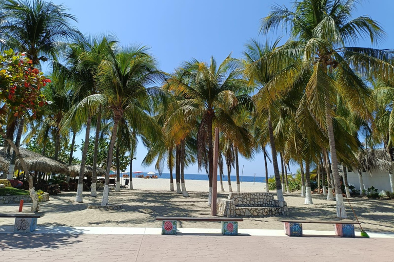 Excursion to Puerto Escondido from Oaxaca: Beaches and the Oaxacan Coast