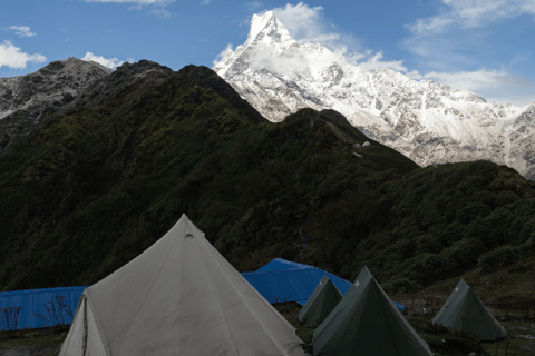 Short Mardi Himal Trek: A Perfect 5-Day Escape from Pokhara