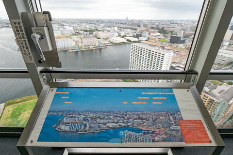 Private Chiba Day Tour: Red Panda Punch, Temple & Bay Tower