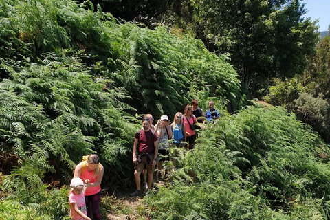 Tenerife: Anaga Wandelen