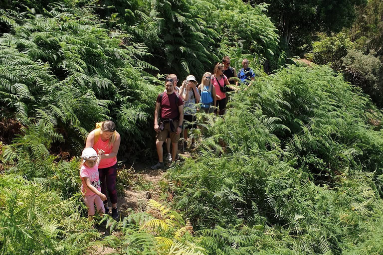 Tenerife: Anaga Hiking