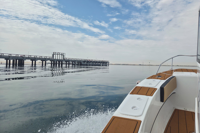 Walvis Bay: Morning Dolphin Cruise with snacks and drinks