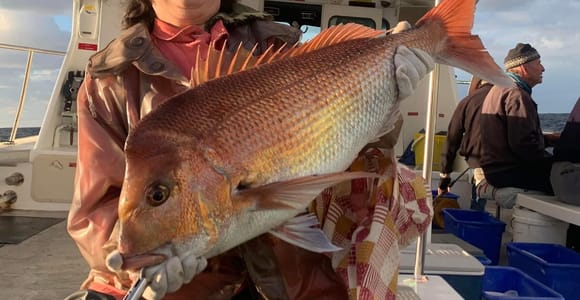 Sydney: 4-Hour Offshore Deep Sea Fishing Charter From Manly