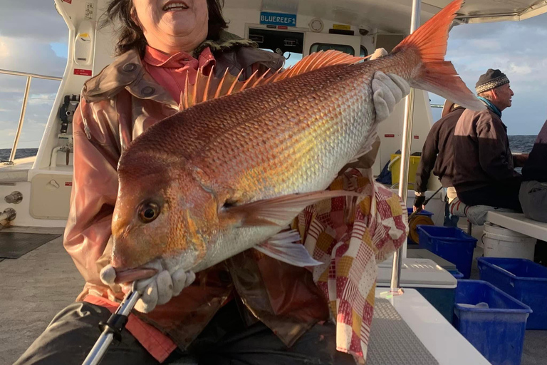 Sydney: 4 Hour Offshore Deep Sea Fishing Charter From Manly