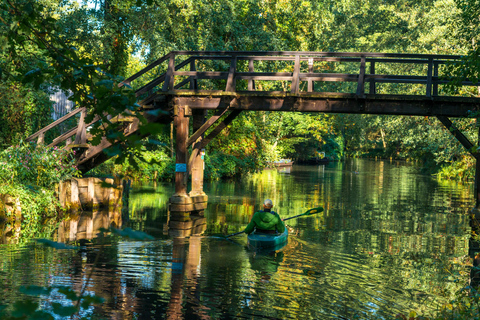 From Berlin: Spreewald, canoe tour at sunset